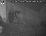 Capi_Dubne_20250421_034502.jpg