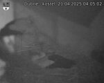 Capi_Dubne_20250421_040502.jpg