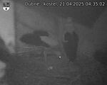 Capi_Dubne_20250421_043502.jpg