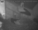 Capi_Dubne_20250421_051003.jpg