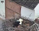 Capi_Dubne_20250421_055002.jpg