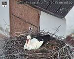 Capi_Dubne_20250421_060002.jpg