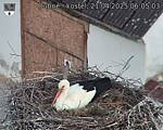Capi_Dubne_20250421_060503.jpg