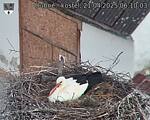 Capi_Dubne_20250421_061003.jpg