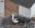 Capi_Dubne_20250421_072003.jpg