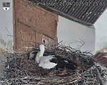 Capi_Dubne_20250421_072503.jpg