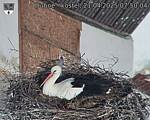 Capi_Dubne_20250421_075004.jpg