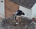 Capi_Dubne_20250421_080502.jpg