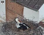 Capi_Dubne_20250421_081502.jpg