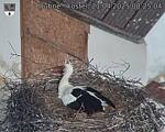 Capi_Dubne_20250421_082504.jpg