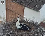 Capi_Dubne_20250421_083503.jpg
