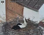 Capi_Dubne_20250421_085503.jpg