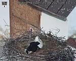 Capi_Dubne_20250421_091003.jpg