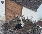 Capi_Dubne_20250421_092004.jpg