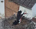 Capi_Dubne_20250421_093003.jpg