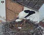 Capi_Dubne_20250421_095503.jpg
