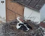 Capi_Dubne_20250421_102003.jpg