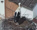 Capi_Dubne_20250421_104003.jpg