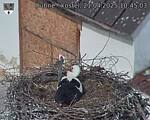 Capi_Dubne_20250421_104503.jpg