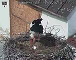 Capi_Dubne_20250421_105503.jpg
