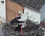 Capi_Dubne_20250421_112003.jpg