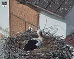 Capi_Dubne_20250421_113503.jpg