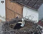 Capi_Dubne_20250421_114003.jpg