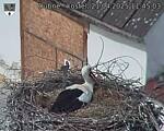 Capi_Dubne_20250421_114503.jpg