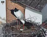 Capi_Dubne_20250421_121003.jpg
