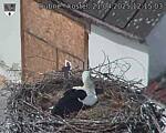 Capi_Dubne_20250421_121503.jpg