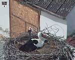 Capi_Dubne_20250421_125503.jpg