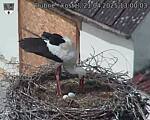 Capi_Dubne_20250421_130003.jpg