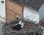 Capi_Dubne_20250421_132503.jpg