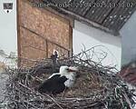 Capi_Dubne_20250421_133002.jpg