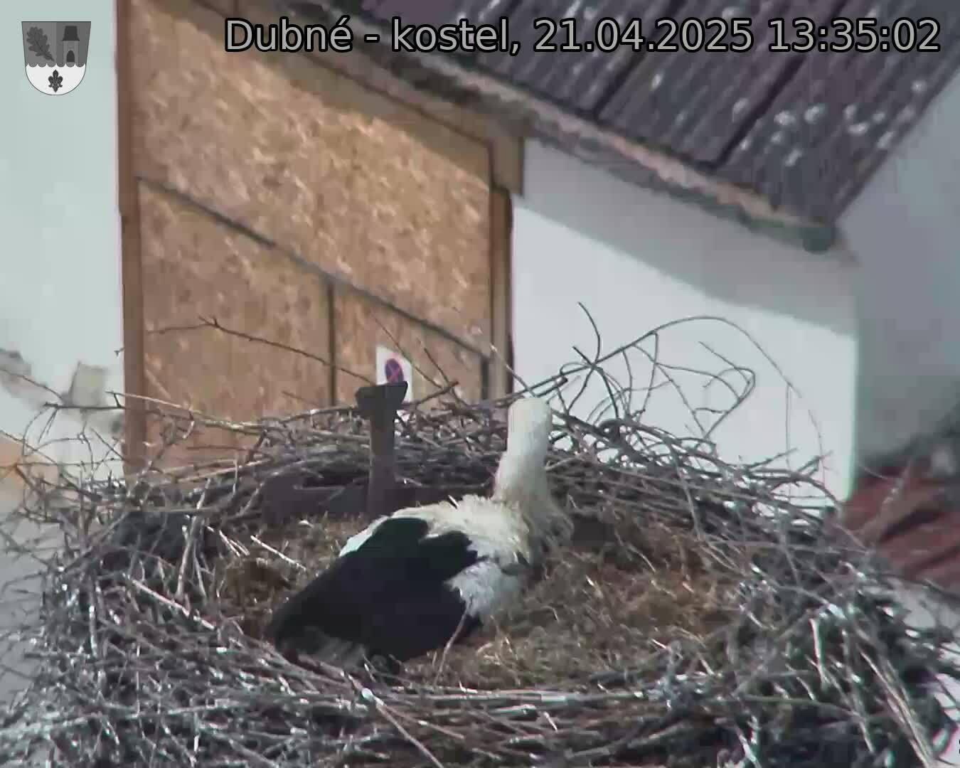 Capi_Dubne_20250421_133502.jpg (1350 x 1080)