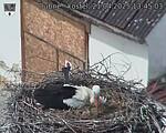 Capi_Dubne_20250421_134503.jpg
