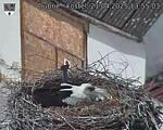 Capi_Dubne_20250421_135503.jpg