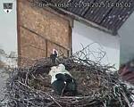 Capi_Dubne_20250421_140502.jpg