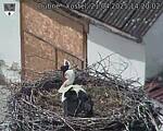Capi_Dubne_20250421_142002.jpg