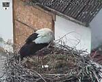 Capi_Dubne_20250421_144003.jpg