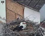 Capi_Dubne_20250421_145503.jpg