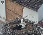Capi_Dubne_20250421_150002.jpg