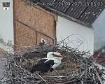 Capi_Dubne_20250421_150503.jpg