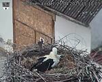 Capi_Dubne_20250421_151003.jpg