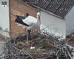 Capi_Dubne_20250421_152003.jpg