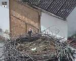 Capi_Dubne_20250421_152503.jpg