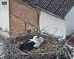 Capi_Dubne_20250421_154002.jpg