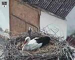 Capi_Dubne_20250421_160503.jpg