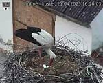 Capi_Dubne_20250421_162003.jpg