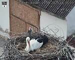 Capi_Dubne_20250421_163503.jpg